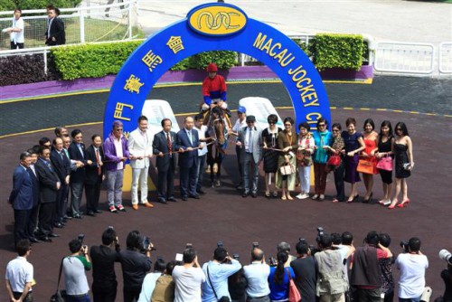 Leva o cavalo campeão – jogo da classe alta